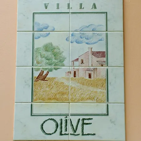 Olive 입소스